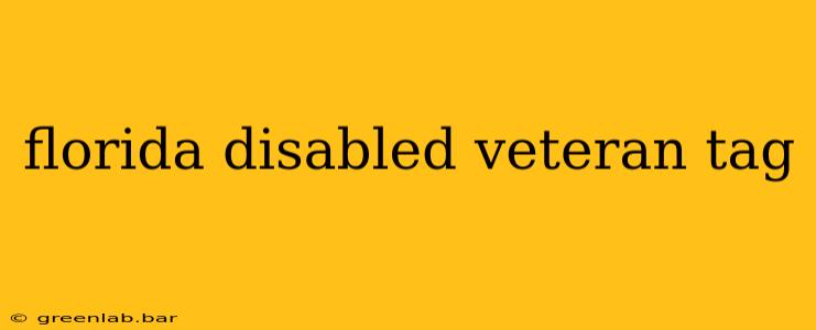 florida disabled veteran tag