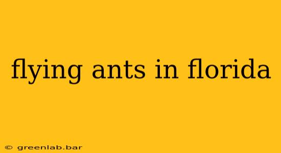 flying ants in florida