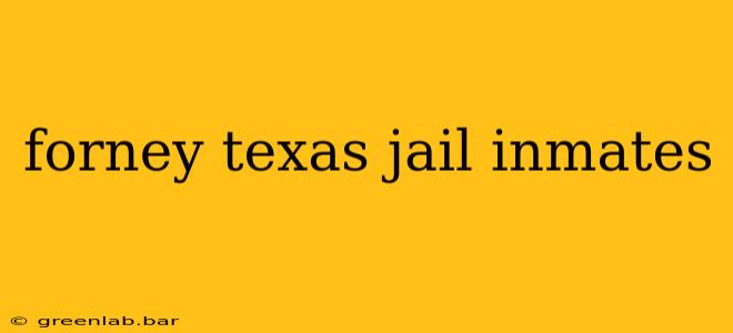 forney texas jail inmates