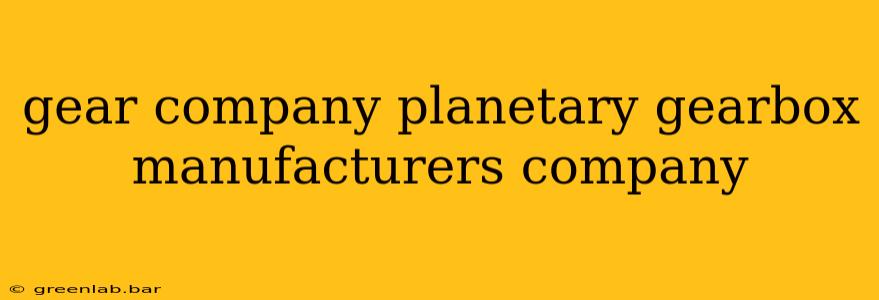 gear company planetary gearbox manufacturers company