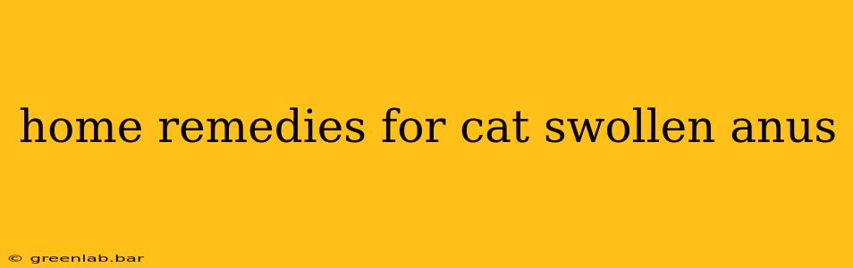 home remedies for cat swollen anus