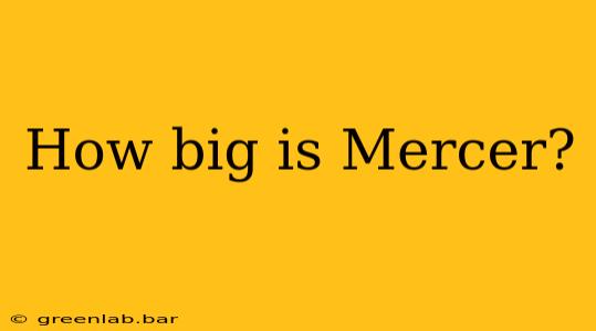 How big is Mercer?