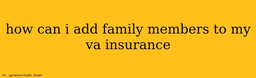 how can i add family members to my va insurance