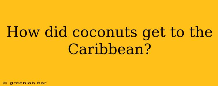 How did coconuts get to the Caribbean?