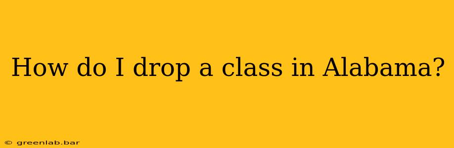 How do I drop a class in Alabama?