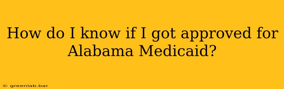 How do I know if I got approved for Alabama Medicaid?