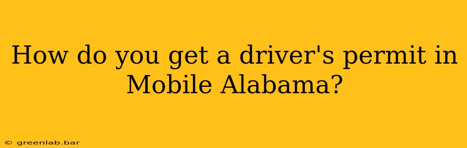 How do you get a driver's permit in Mobile Alabama?