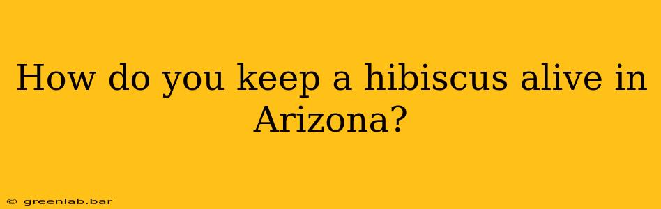 How do you keep a hibiscus alive in Arizona?