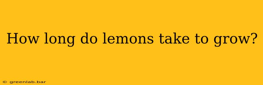 How long do lemons take to grow?