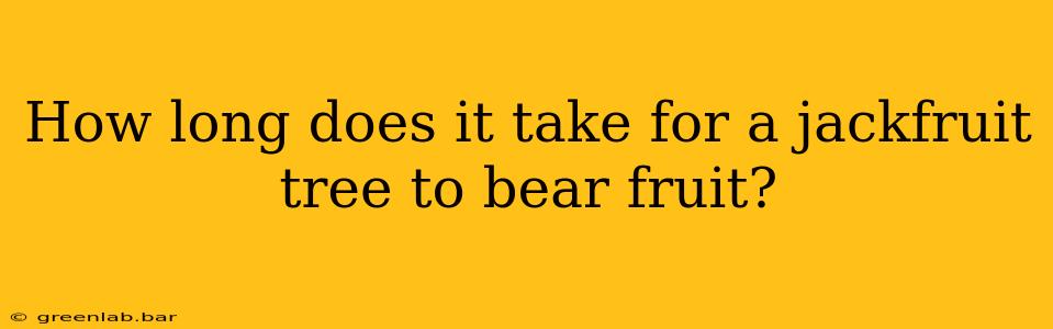 How long does it take for a jackfruit tree to bear fruit?