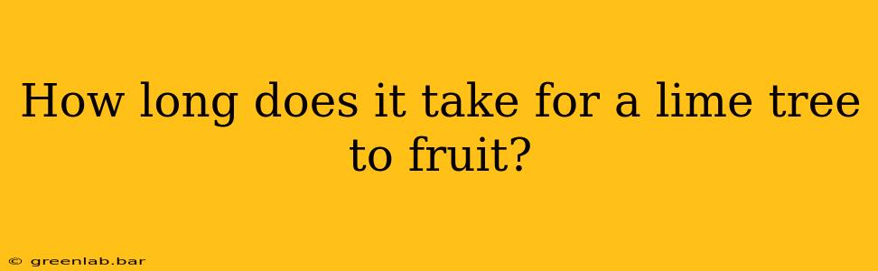 How long does it take for a lime tree to fruit?