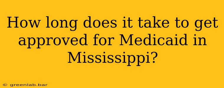 How long does it take to get approved for Medicaid in Mississippi?