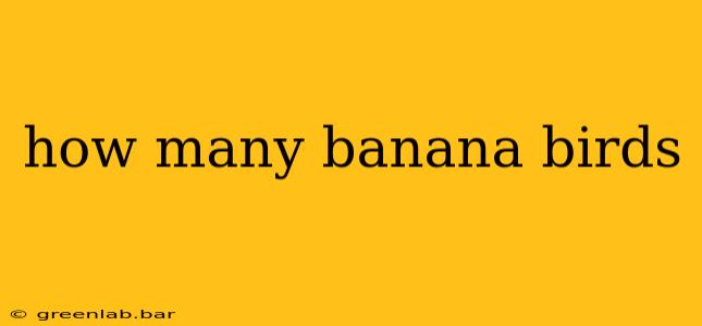 how many banana birds