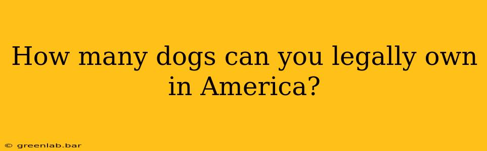 How many dogs can you legally own in America?