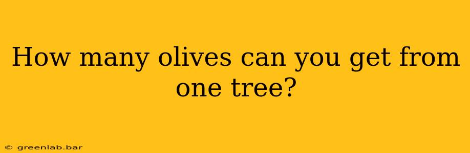 How many olives can you get from one tree?