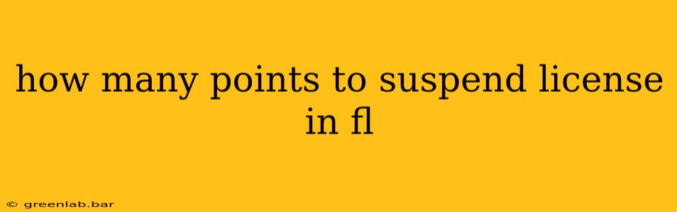 how many points to suspend license in fl