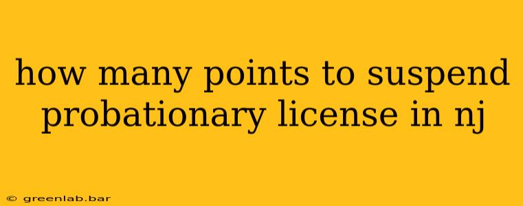 how many points to suspend probationary license in nj