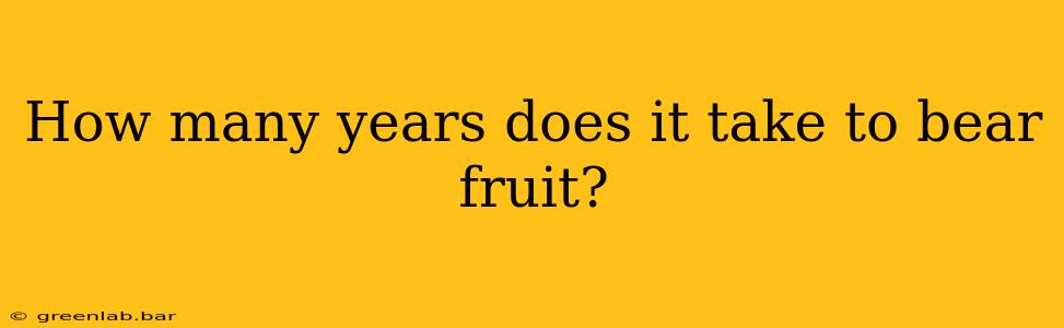 How many years does it take to bear fruit?