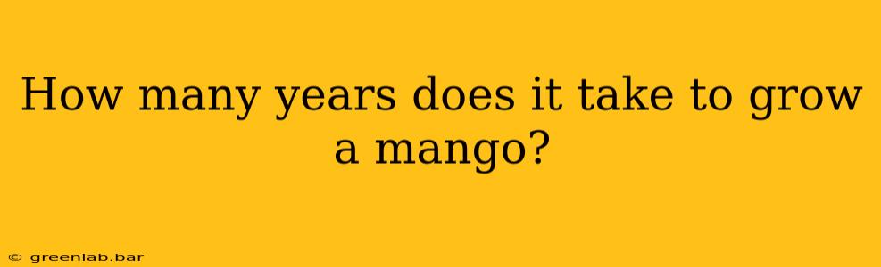 How many years does it take to grow a mango?