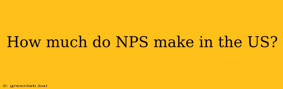 How much do NPS make in the US?