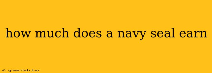 how much does a navy seal earn