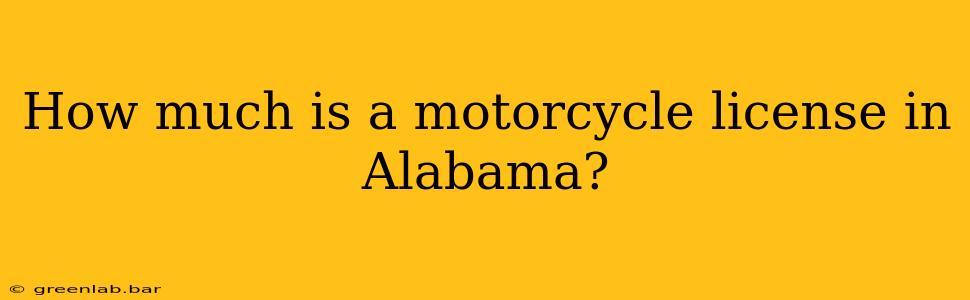 How much is a motorcycle license in Alabama?