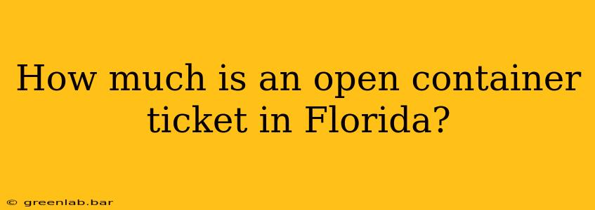 How much is an open container ticket in Florida?