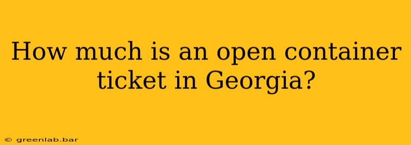 How much is an open container ticket in Georgia?