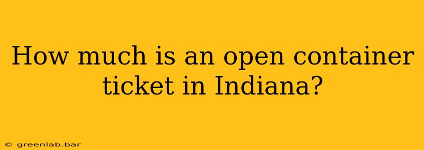 How much is an open container ticket in Indiana?