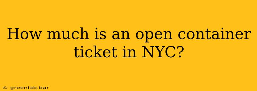 How much is an open container ticket in NYC?