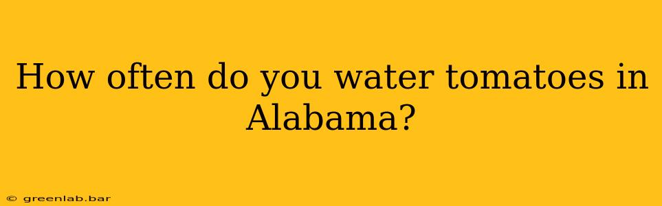 How often do you water tomatoes in Alabama?