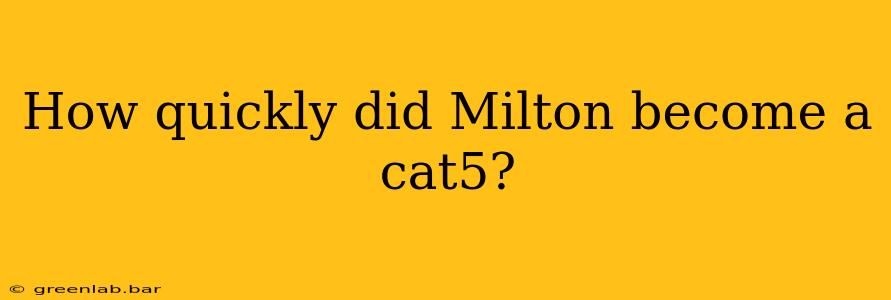 How quickly did Milton become a cat5?