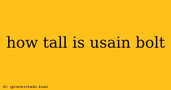 how tall is usain bolt