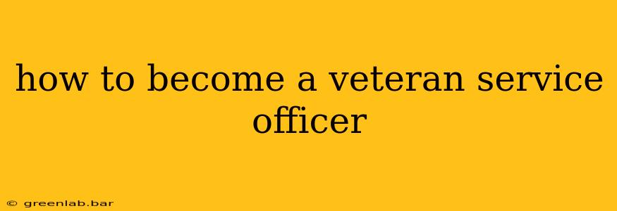 how to become a veteran service officer