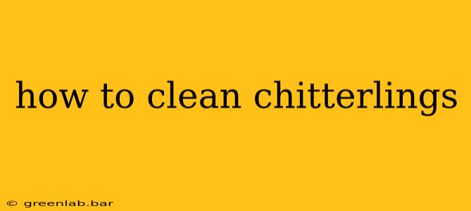 how to clean chitterlings