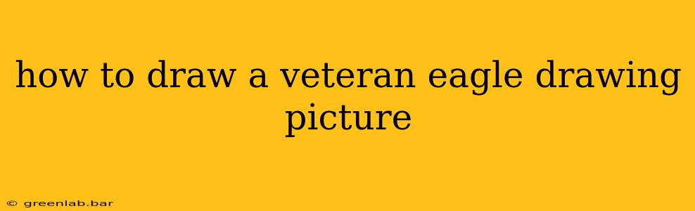 how to draw a veteran eagle drawing picture