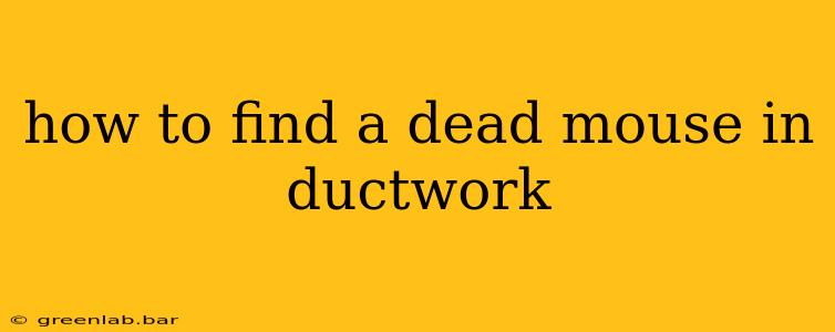 how to find a dead mouse in ductwork