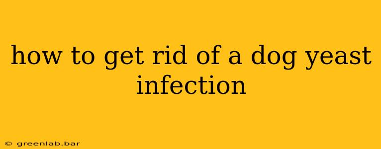 how to get rid of a dog yeast infection