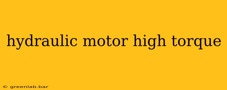 hydraulic motor high torque