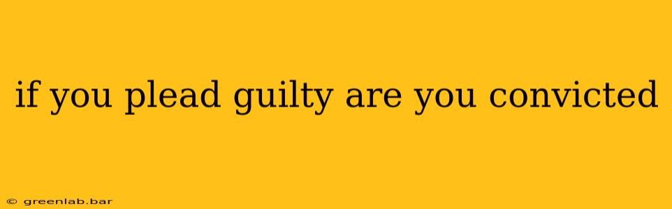 if you plead guilty are you convicted