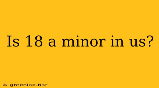 Is 18 a minor in us?