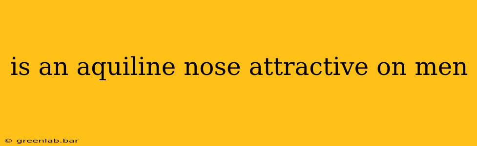 is an aquiline nose attractive on men