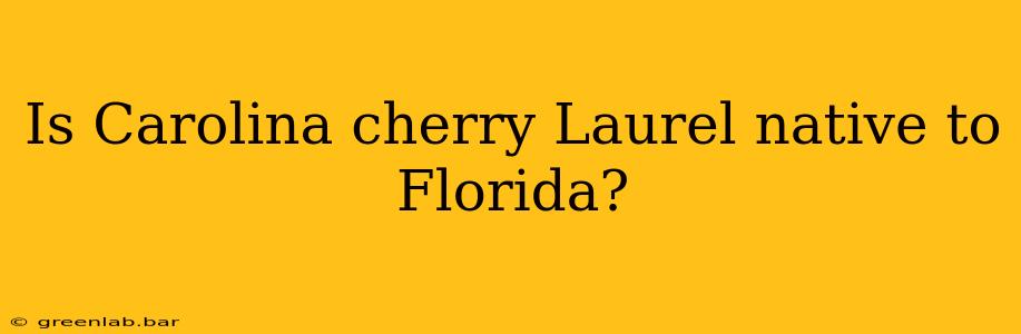 Is Carolina cherry Laurel native to Florida?