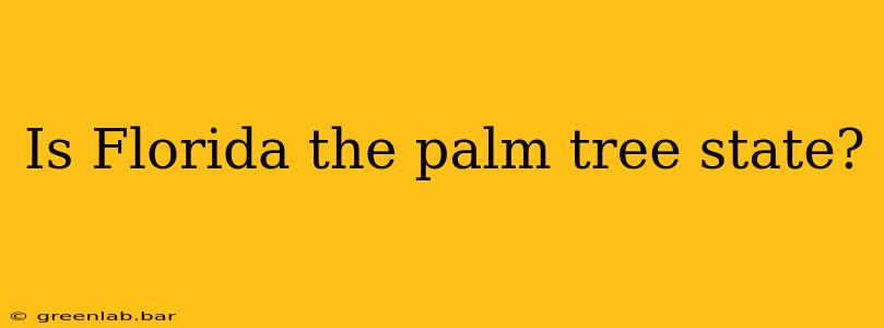 Is Florida the palm tree state?