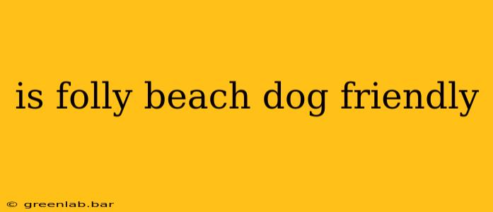 is folly beach dog friendly