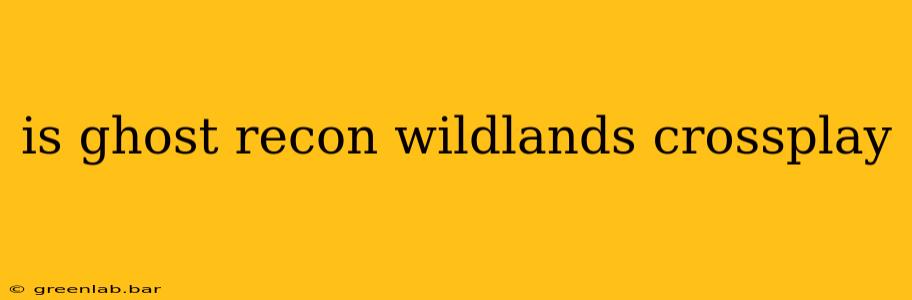 is ghost recon wildlands crossplay