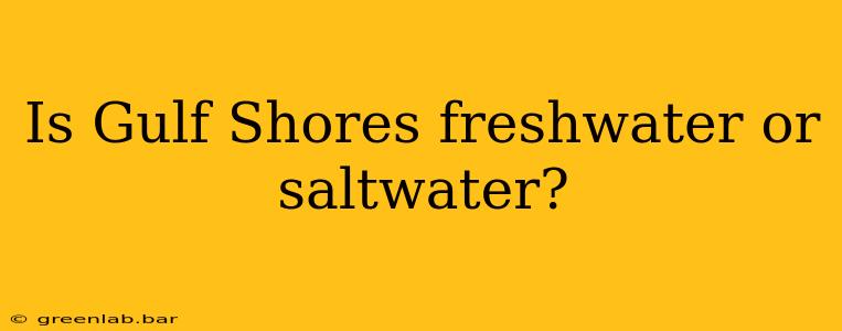 Is Gulf Shores freshwater or saltwater?