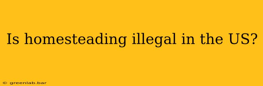 Is homesteading illegal in the US?