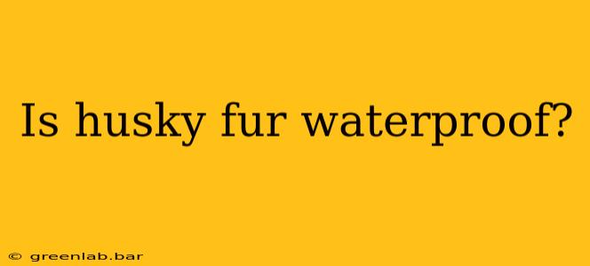 Is husky fur waterproof?