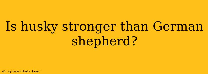 Is husky stronger than German shepherd?